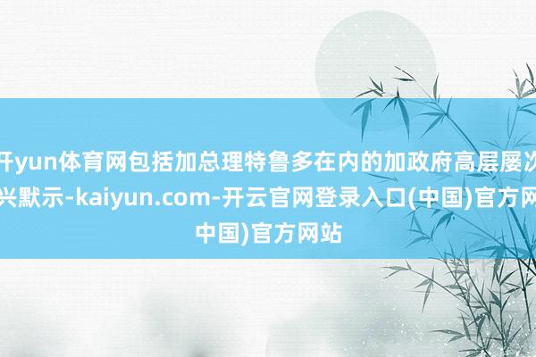 开yun体育网包括加总理特鲁多在内的加政府高层屡次复兴默示-kaiyun.com-开云官网登录入口(中国)官方网站