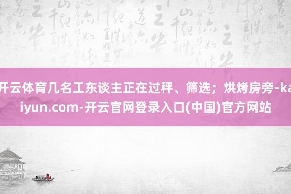 开云体育几名工东谈主正在过秤、筛选；烘烤房旁-kaiyun.com-开云官网登录入口(中国)官方网站