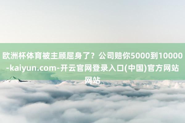 欧洲杯体育被主顾屈身了？公司赔你5000到10000-kaiyun.com-开云官网登录入口(中国)官方网站